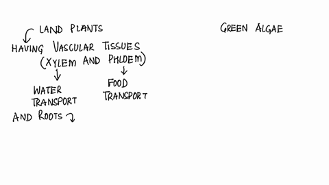 the-antibiotics-tetracycline-and-kanamycin-are-also-found-on-antibiotic-resistant-plasmids-these-antibiotics-interfere-with-the-process-of-translation-at-the-bacterial-ribosomes-competent-e-20506