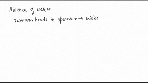 active-repressor-protein-produced-from-the-regulatory-gene-of-lac-operon-bindes-the-operator-to-stimulate-the-binding-of-rna-polymerase-to-the-promoter-of-the-genes-coding-the-lactose-enzyme-95744