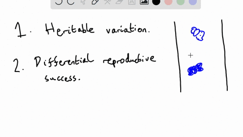 using-the-example-of-the-speckled-peppered-and-black-moths-explain-the-process-of-natural-selection-discuss-one-main-consequence-of-natural-selection-for-human-biological-adaptation-68978