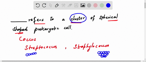 question-z0-refers-to-cluster-of-spherical-shaped-prokaryotic-cells-streptobacillus-tetrad-streptococcus-staphylococcus-diplospirilla-question-21-archaea-are-identical-to-bacteria-terms-of-c-14713