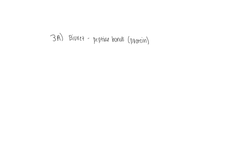 2-what-do-you-think-would-happen-if-you-placed-a-drop-of-iodine-on-explain-your-answer-5-points-each-b-your-steak-answer-the-following-questions-points-each-biuret-reagent-is-chemical-test-u-88092