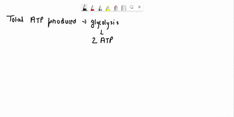 using-the-diagram-on-the-previous-page-as-guide-fill-in-the-following-numbers-total-atp-produced-directly-in-glycolysis-total-net-atp-produced-in-glycolysis-total-atp-produced-directly-from-39468