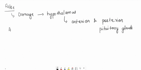 function-of-the-hypothalamus-damage-to-the-hypothalamus-would-impact-the-function-of-the-anterior-pituitary-but-not-the-posterior-pituitary-true-or-false-true-false-70183