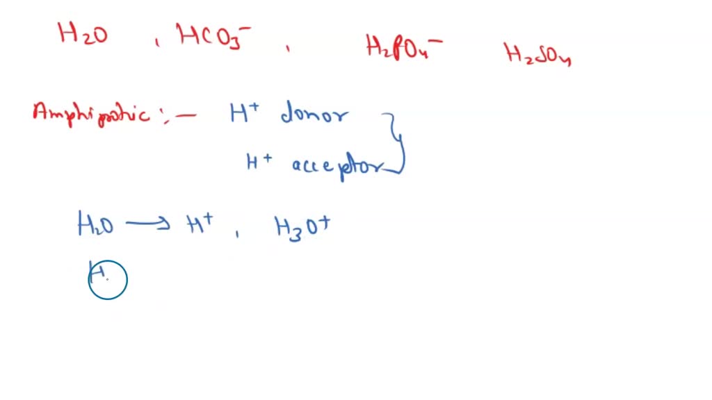 SOLVED: Tbich of te following species amphiprotic In aqucous solution