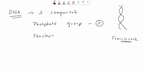 dna-is-made-up-of-a-phosphate-group-a-nitrogenous-base-and-____________-47327