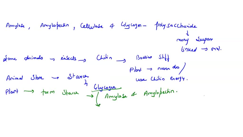 SOLVED: What are the structures and functions of amylose, amylopectin,  starch, glycogen, cellulose, chitin?