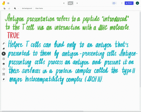 true-or-false-antigen-presentation-refers-to-peptide-introduced-t0-the-cell-via-an-interaction-with-mhc-molecule-84894