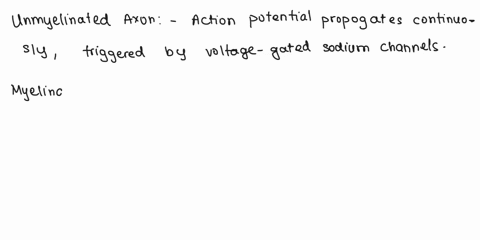 describe-the-propagation-of-the-action-potential-down-the-axon-for-both-a-myelinated-and-unmyelinated-axon-what-would-happen-if-a-subthreshold-depolarization-traveled-down-the-axon-cable-pro-08933