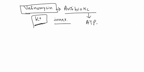 when-the-antibiotic-valinomycin-is-added-to-actively-respiring-mitochondria-several-things-happen-the-yield-of-atp-decreases-the-rate-of-o2-consumption-increases-heat-is-released-and-the-ph-48786