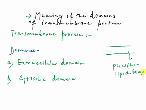 4-four-membrane-proteins-are-represented-in-the-schematic-below-the-boxes-represent-membranespanning-domains-the-arrows-represent-sites-of-cleavage-of-signal-sequences-and-the-negative-and-p-56094