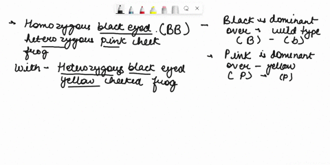 2b-solve-this-problem-and-answer-the-questian-by-constructing-punnet-square-cross-homozygous-black-eyed-heterozygous-pink-cheeked-frog-with-heterozygous-black-eyed-yellow-cheeked-frog-zc-exp-97958