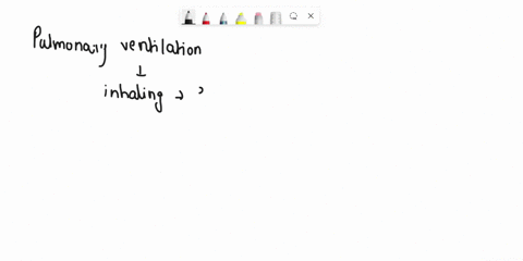 what-are-the-basic-differences-among-pulmonary-ventilation-external-respiration-and-intemnal-respiration-would-you-expect-the-concentration-of-hco3-to-be-higher-in-blood-plasma-taken-trom-sy-89889