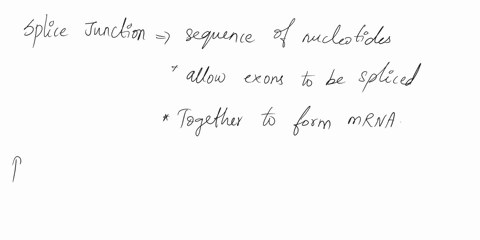 which-of-the-following-mutations-will-least-likely-lead-to-a-non-functional-protein-product-of-7-exon-gene-in-a-eukaryotic-cell-0-apoint-mutation-that-prevents-the-recognition-of-the-splice-01187