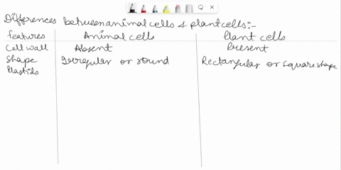difference-between-animal-cells-and-plants-cells-02803
