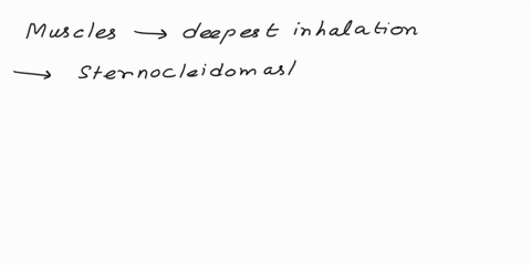 activity-2ventilation-a-explain-what-causes-air-to-flow-into-and-out-of-your-lungs-when-you-breathe-hintin-your-answeryou-should-describe-how-the-action-of-respiratory-muscles-changes-the-vo-49884
