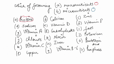which-of-the-following-are-macronutrients-circle-all-the-correct-answers-proteins-b_-calcium-zinc-d-sodium-e-vitamin-d-vitamin-e-g-vitamin-a-h_-carbohydrates-fats-j-chloride-k-niacin-potassi-59473