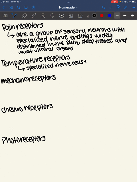 describe-each-of-the-following-types-of-receptors-indicating-what-sensation-it-detects-and-giving-an-example-of-where-it-can-be-found-in-the-body-pain-receptors-nociceptors-temperature-recep-97187