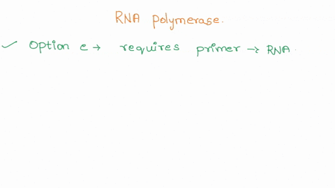 which-of-the-following-is-not-true-of-rna-polymerase-group-of-answer-choices-it-initiates-rna-synthesis-by-binding-to-a-sequence-in-dna-called-the-promoter-it-synthesizes-rna-using-a-dna-tem-97494