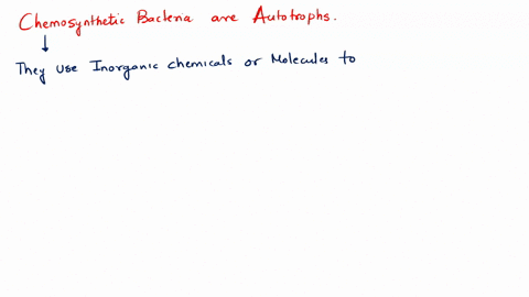 4-what-are-chemosynthetic-bacteria-what-do-they-produce-02483