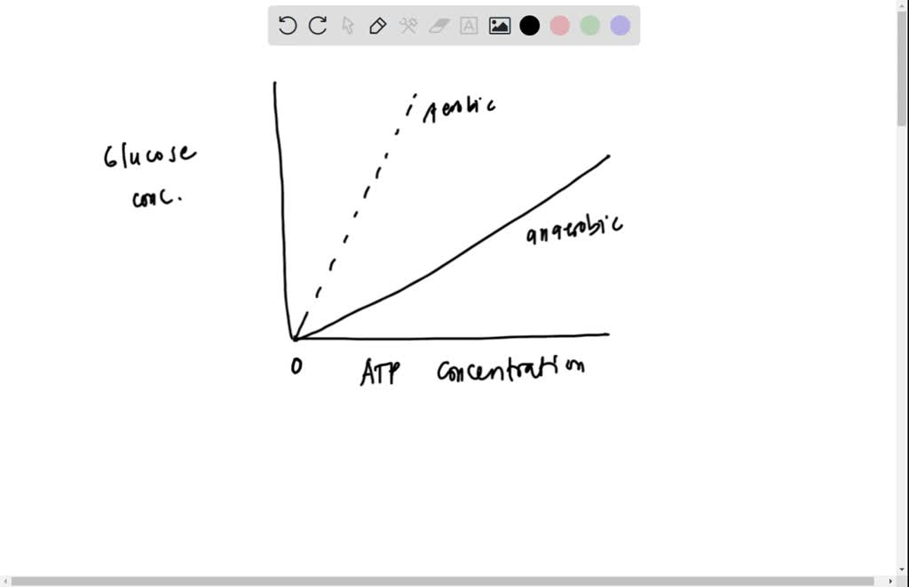 Using The Template In The Space Provided To Represent The Data Shown In ...