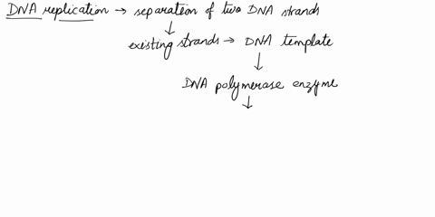 a-biochemist-isolates-purifies-and-combines-in-a-test-tubea-variety-of-molecules-needed-for-dna-replication-whenshe-adds-some-dna-to-the-mixture-replication-occurs-buteach-dna-molecule-consi-71588
