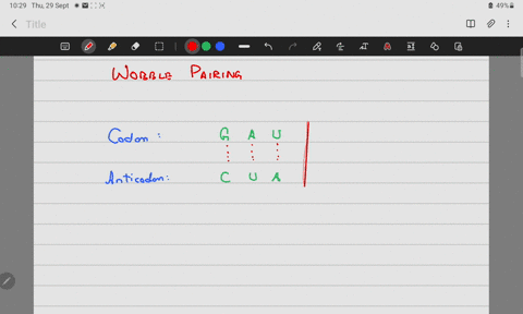 7-41-which-of-the-following-pairs-of-codons-might-you-expect-to-be-read-by-the-same-rna-result-of-wobble-cuu-and-uuu-gau-and-gaa-cac-and-cau-aau-and-agu-7-42-below-is-a-segment-of-rna-from-t-13976