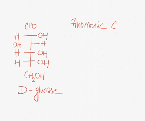 question-8-1-point-in-an-open-chain-aldohexose-which-carbon-becomes-the-anomeric-carbon-in-the-ring-form-the-c-o-carbon-68249