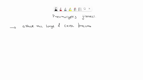 in-addition-to-pneumocystis-jiroveci-a-client-with-acquired-immunodeficiency-syndrome-aids-also-has-an-ulcer-4-cm-in-diameter-on-the-leg-considering-the-clients-total-health-status-what-is-t-79647