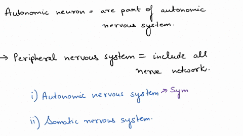 which-of-these-statements-about-autonomic-neurons-is-correct-a-they-are-motor-neurons-b-preganglio-2-22945