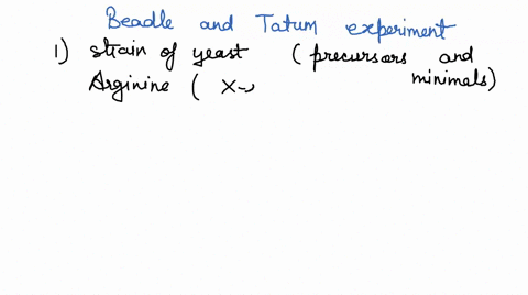 design-an-experiment-using-beadle-and-tatum-experimental-design-with-growth-or-growth-as-an-outcome-to-test-vour-hypothesis-whether-one-or-both-mutations-you-found-in-the-ornithine-carbamoyl-02944