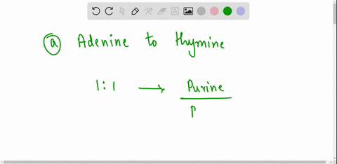 the-ratio-of-in-dna-is-11_-select-one-a-adenine-to-thymine-b-cytosine-to-adenine-curacil-to-cytosine-guanine-to-adenine-51818