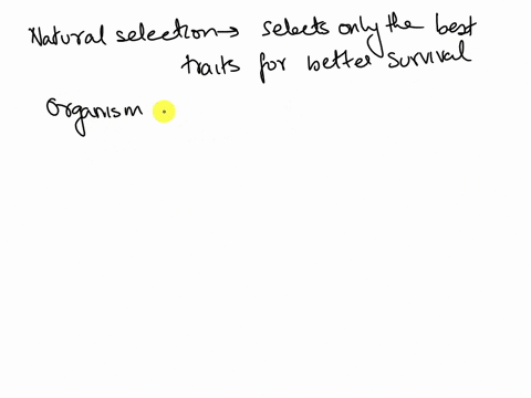 describe-how-the-process-of-natural-selection-can-result-in-an-increase-in-frequencies-of-certain-traits-found-in-a-population-47014