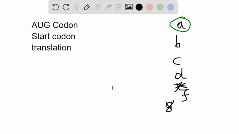 question-17-more-than-one-answer-may-be-correct-for-this-question-an-aug-codon-signines-the-amino-terminal-of-the-protein-to-be-synthesized-encodes-for-the-amino-acid-methionine-is-located-t-61966