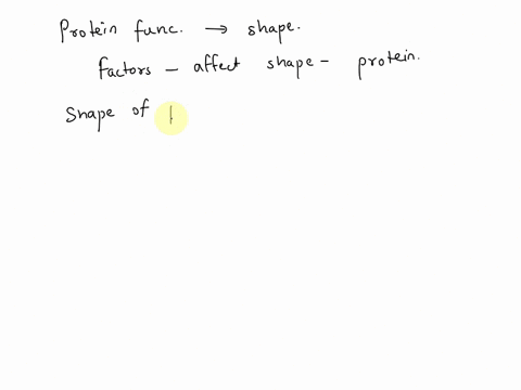 to-a-large-extent-a-proteins-function-is-dependent-upon-its-shape-what-determines-a-proteins-shape-the-number-of-amino-acids-o-the-sequence-of-amino-acids-o-the-number-of-peptide-bonds-o-the-60552