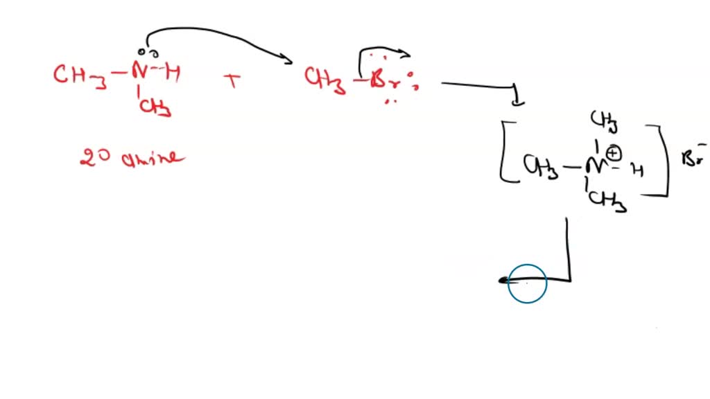 SOLVED: When a secondary amine reacts wirh a primary alkyl halide ...