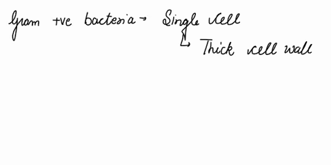 gram-positive-bacteria-have-a-single-cell-membrane-and-thick-cell-wall-made-of-many-layers-of-peptidoglycan-a-single-cell-membrane-and-thick-cell-wall-made-of-many-layers-of-cellulose-athinn-75488