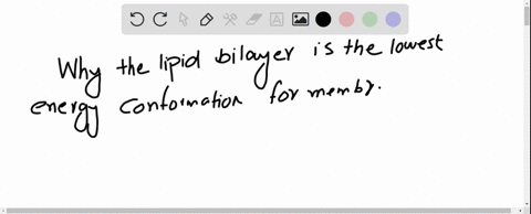 question-6-why-1s-the-lipid-bilayer-the-lowest-energy-conformation-for-membrane-lipids-in-cells-tho-water-forms-cage-iike-struclures-around-liplds-when-ihoy-are-in-a-bilayor-increasing-iho-o-10923