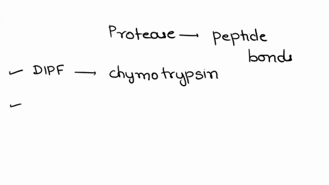 you-have-isolated-a-new-protease-that-cleaves-peptide-bonds-following-asp-and-glu-based-on-its-inactivation-by-dipf-you-suspect-that-it-may-utilize-a-mechanism-similar-to-chymotrypsin-the-di-17834