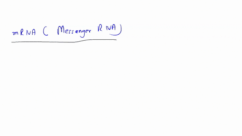 which-of-the-following-carries-the-genetic-information-from-the-nucleus-to-the-ribosome-for-protein-synthesis-in-eukaryotic-cells-a-dna-b-trna-transfer-rna-c-mrna-messenger-rna-d-rrna-ribosomal-rna