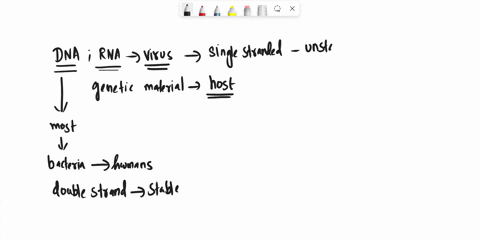 in-cells-most-rna-molecules-are-________-and-dna-molecules-are-________-a-single-stranded-double-str-57363