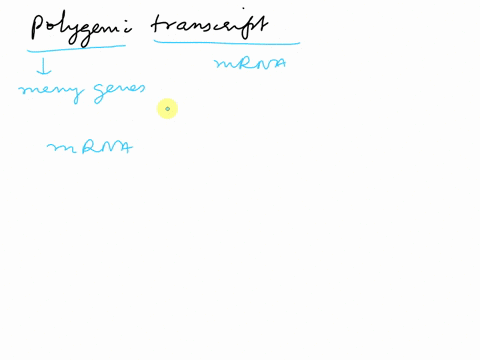 what-is-a-polygenic-transcript-68962