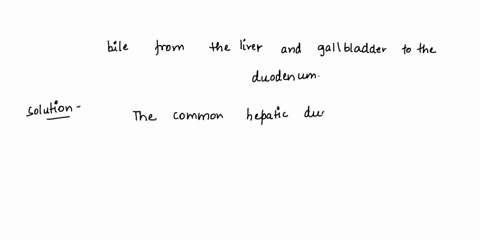 what-carries-bile-from-the-liver-and-gallbladder-to-the-duodenum-26811
