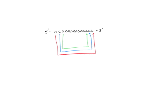 when-double-stranded-dna-is-heated-to-100c-the-two-strands-separate-because-the-hydrogen-bonds-between-the-strands-break-when-the-solution-is-cooled-the-two-strands-can-find-each-other-to-re-65692