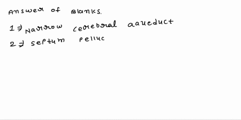 match-the-brain-regions-with-their-functions-brain-region-function-____1-thalamus-a-adjusting-postural-muscles-coordinating-all-movements-____2-cerebrum-b-final-sensory-relay-processing-cent-57865