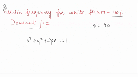 a-population-of-flowers-is-in-hardy-weinberg-equilibrium-with-an-allele-frequency-for-white-flowers-w-of-40-what-percentage-of-the-flowers-will-have-the-colored-or-dominant-phenotype-89073