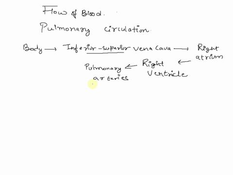 blood-flows-through-the___________-vena-cavae-and-coronary-sinus-into-the-right-atrium-through-the-to-the-right-ventricle-through-the-pulmonary-valve-to-the-pulmonary-trunk-into-the-right-an-19724
