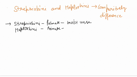 what-is-the-primary-difference-between-the-two-suborders-hint-in-terms-of-the-meaning-of-their-pames-those-primates-that-belong-to-the-sulorder-strepsirhini-include-all-of-the-lemurs-sifakas-10177
