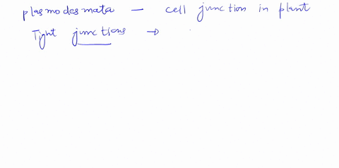 cytoskeleton-components-microlubules-microfilaments-remember-its-other-name-and-intermediate-filaments-know-what-each-is-made-of-its-role-in-the-cell-and-its-associated-motor-protein-associa-13846