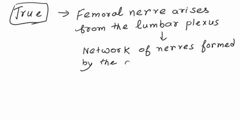 the-femoral-nerve-arises-from-the-lumbar-plexus-true-or-false-44378