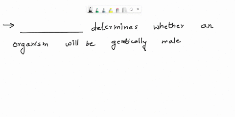 determines-whether-an-organism-will-be-genetically-male-or-female-02334